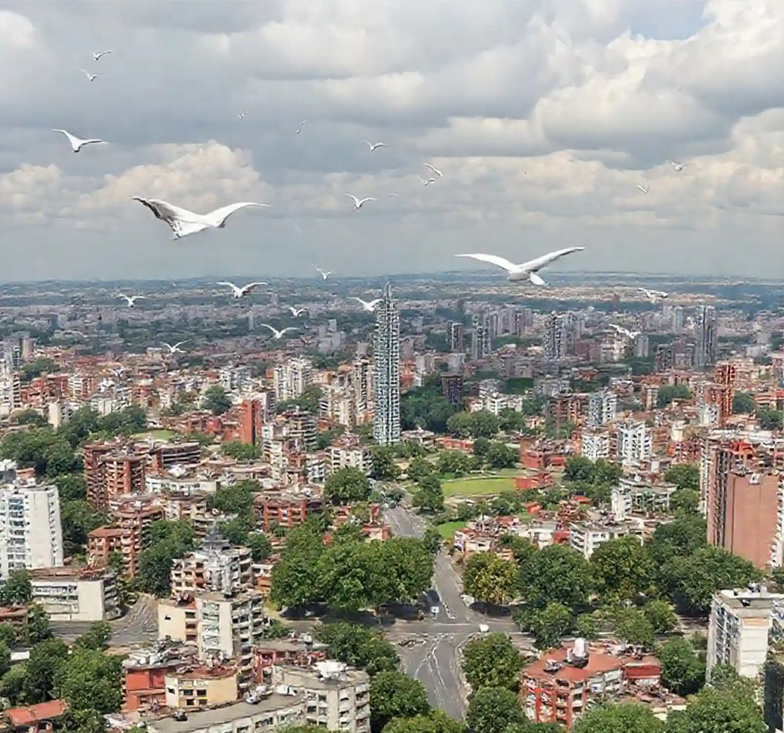 planes urbanisticos regenerativos