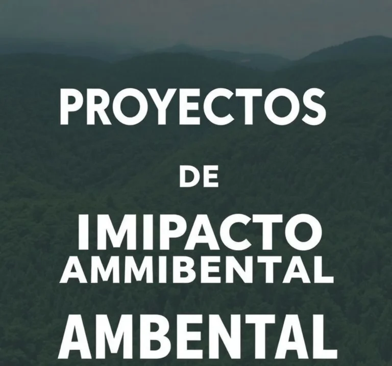 proyectos de impacto ambiental