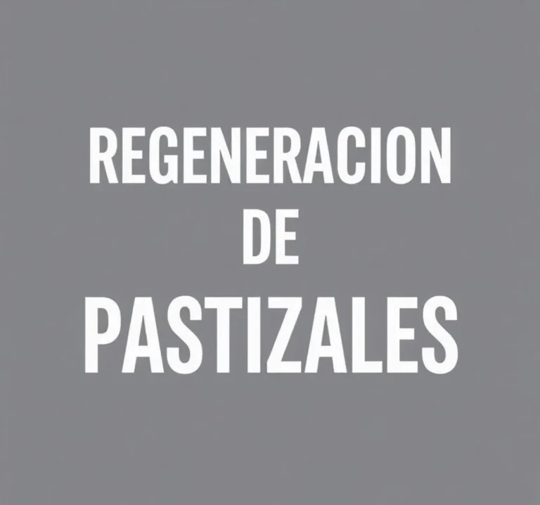 regeneracion de pastizales