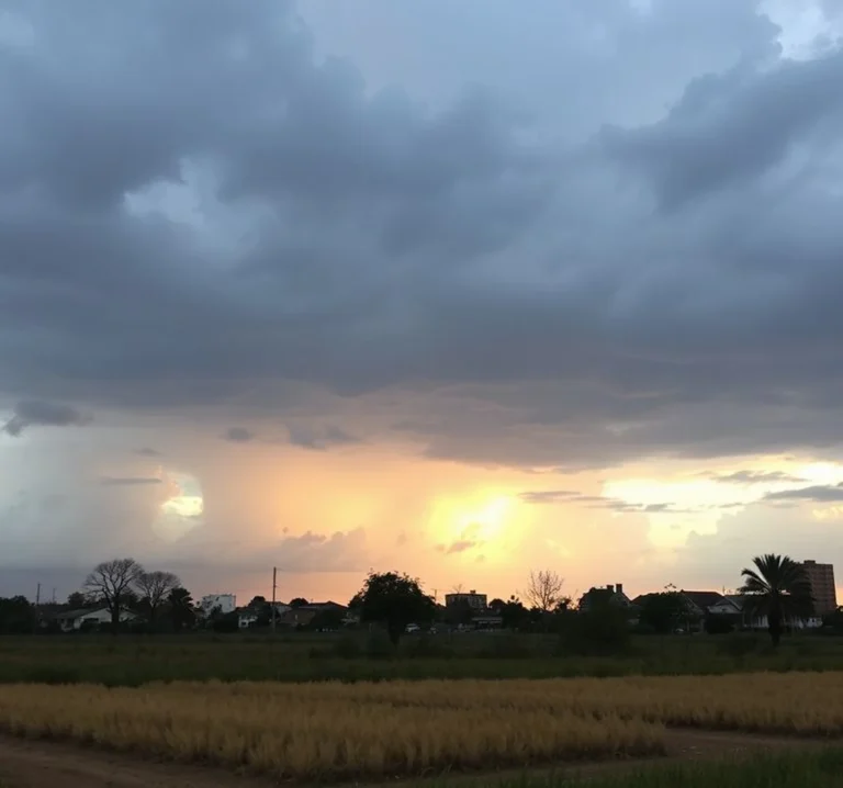 tiempo libre avanzado